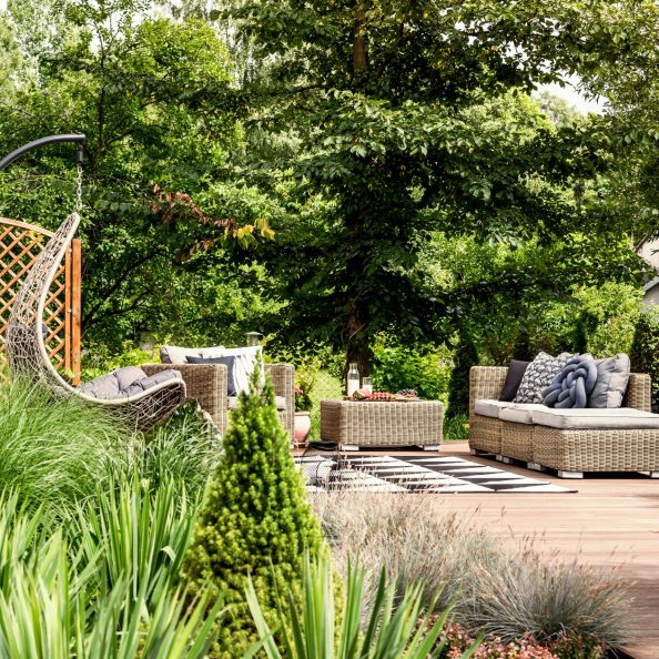 Plants and shrubs in a sunny backyard of a hostel with garden furniture in the background