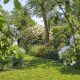My garden.