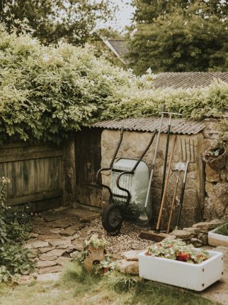 Small backyard home garden with tools